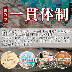 A0-272 ＜2024年4月発送分(4月30日迄に発送)＞森林どり むね肉(2kg×3袋・計6kg)【ウェルファムフーズ】