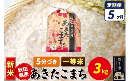 《新米》《定期便5ヶ月》あきたこまち 一等米 3kg×1袋【5分づき】令和8年産 秋田県産 こまちライン [新米 こまちライン あきたこまち ブランド米 お米 5分搗き 精米 米どころ 秋田 秋田県産]