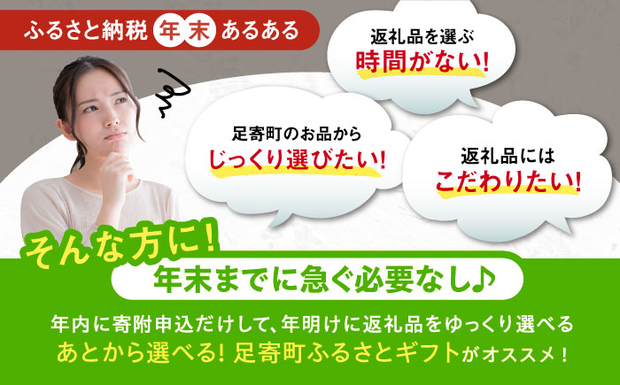 【あとから選べる】足寄町ふるさとギフト 20万円分 足寄町 チーズ [BEBL004]