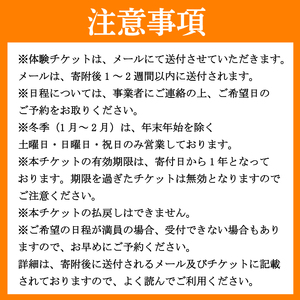 フォレストアドベンチャー 祖谷 ロングジップスライド チケット 3名 観光 【 観光 】