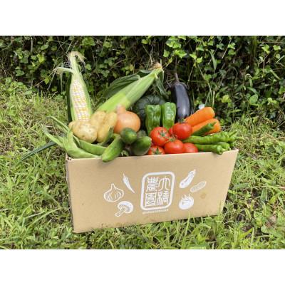 ふるさと納税 中津川市 【発送月固定定期便】濃い味!朝採れ旬の野菜セット 12品目全6回