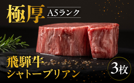 飛騨牛 極厚 シャトーブリアン 3枚 計570g シャトーブリアン 飛騨岐阜人 [EN067]