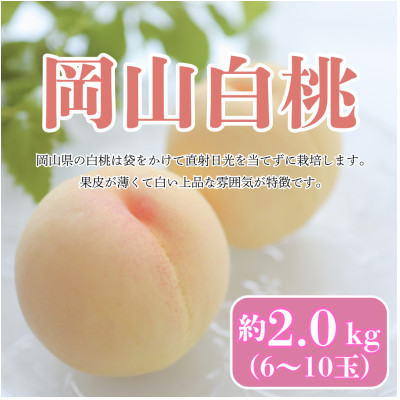 【2026年8月発送予定】岡山白桃　約2kg(6～10玉)【配送不可地域：離島・北海道・沖縄県】