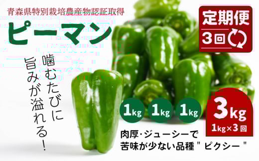 【3回定期便】 【青森県特別栽培】ピーマン 1kg ピクシー