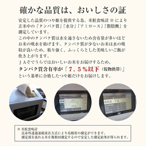 SE0432　11月下旬配送／令和7年産【精米】山形県産 特別栽培米 つや姫　10kg(5kg×2袋) JS　