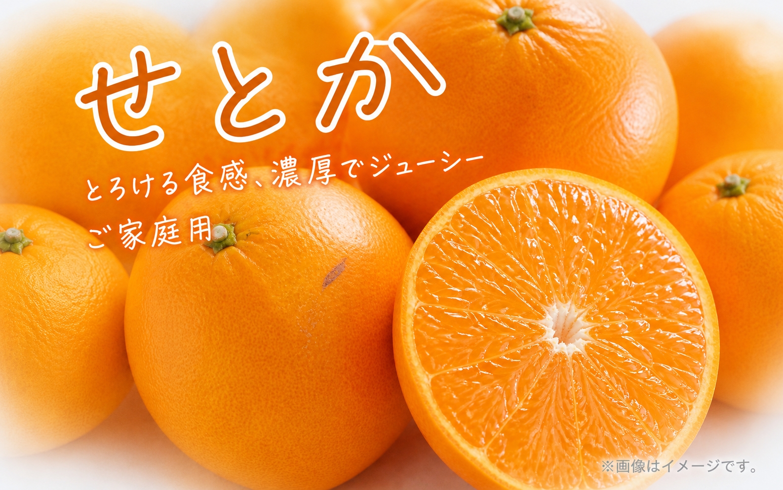 【ご家庭用訳あり】ジューシー柑橘 せとか 約3kg【先行予約】※2027年2月下旬頃〜2027年3月中旬頃発送予定（お届け日指定不可） せとか みかん ミカン 柑橘 フルーツ 果物 くだもの【uot834B】