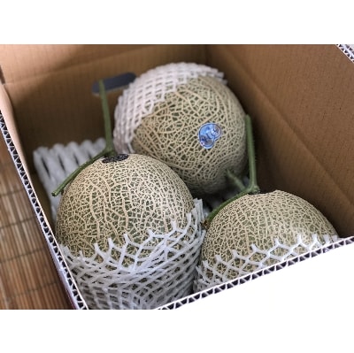 木曽岬産メロン「ラブコール」3～4玉セット　令和6年7月5日より発送