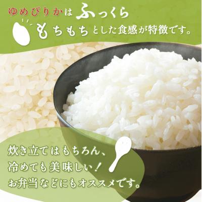 ふるさと納税 ニセコ町 《令和7年産米》合鴨農法ゆめぴりか 【胚芽米仕様精米】5kg(1kg×5袋)【31081】 |  | 01