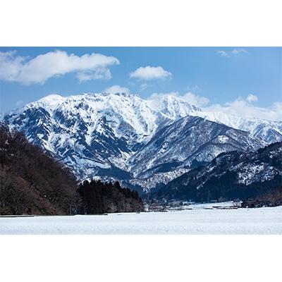 ふるさと納税 南魚沼市 八海山　本格米焼酎「よろしく千萬あるべし」720ml×3本セット |  | 02