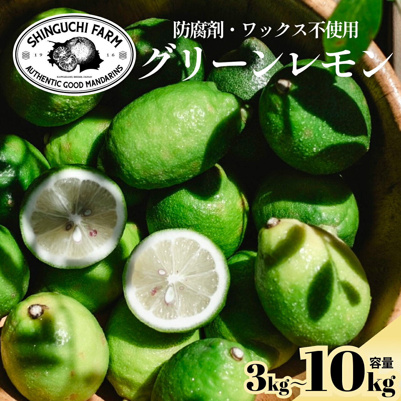 【ふるさと納税】【先行受付】【皮ごと食べられる】瀬戸内グリーンレモン 3kg 防腐剤・ワックス不使用 【A70-68】選べる容量 3kg / 5kg / 10kg ふるさと納税レモン れもん 檸檬 グリーンレモン 愛媛県 果物 フルーツ 柑橘 柑橘類 産直 産地直送【G1615804】YWTK067