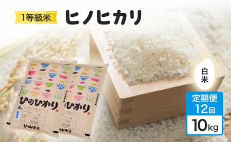 ヒノヒカリ 1等級米 白米 令和7年産 ヒノヒカリ【10kg】【定期便 全12回】