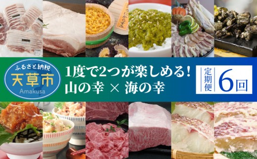 
                  S999-T09_【定期便6回】1度で2つが楽しめる！山の幸 × 海の幸
                