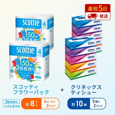 ふるさと納税 岩沼市 ティッシュ+トイレットペーパー2P[No.5704-1792]