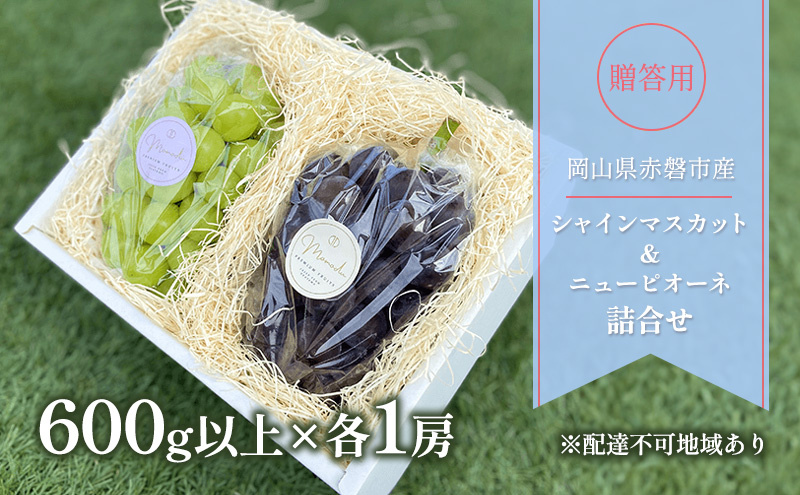 ぶどう 2026年 先行予約 贈答用 シャインマスカット ＆ ニューピオーネ 詰合せ 600g以上×各1房 ブドウ 葡萄 岡山県 赤磐市産 フルーツ 果物 ギフト 