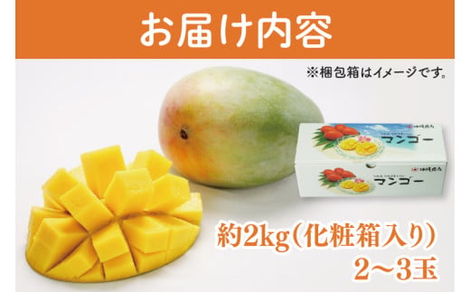 【2026年8月より順次発送】キーツマンゴー 2～3玉(約2kg)(化粧箱)｜沖縄県 豊見城市 マンゴー キーツマンゴー フルーツ 果物 くだもの おきなわマンゴー 先行予約 ギフト 贈り物 化粧箱入
