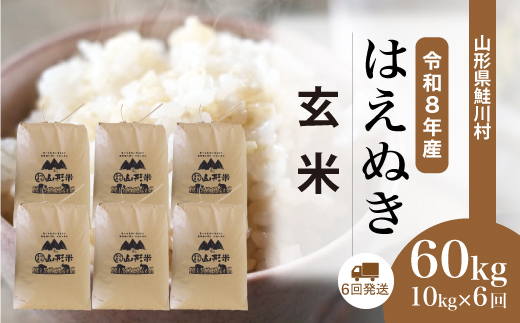 ＜令和8年産米＞ 鮭川村 はえぬき 【玄米】 60kg定期便 （10kg×6回発送）＜配送時期選べます＞