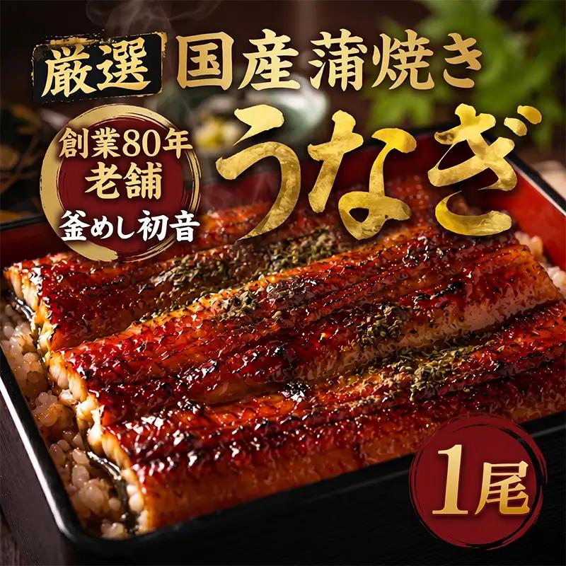 国産うなぎ蒲焼 1尾 (約190g) 【hn088】