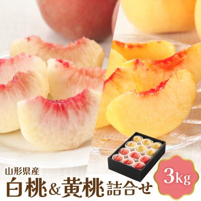 ふるさと納税 河北町 【令和8年産】白桃&amp;黄桃詰め合わせ 3kg 【JAさがえ西村山】
