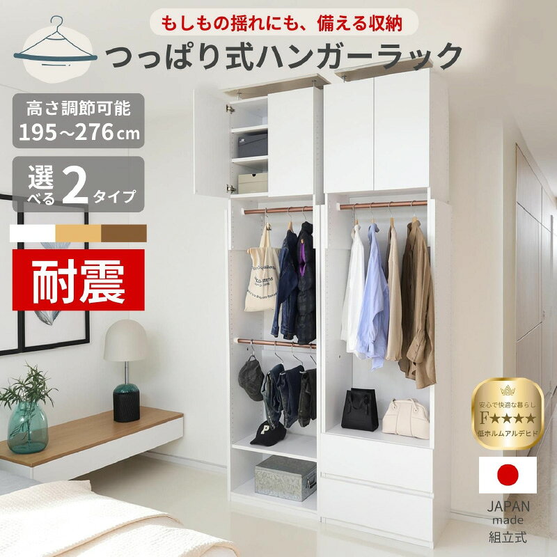 【ふるさと納税】奥行41cm省スペースつっぱりハンガーラックTR-65 【選べるタイプ／選べるカラー】 日本製 ≪寄付者様組み立て品≫ 【ハンガーラック つっぱり ハンガーラック 収納ラック 衣類収納 省スペース おしゃれ 収納 クローゼット収納】