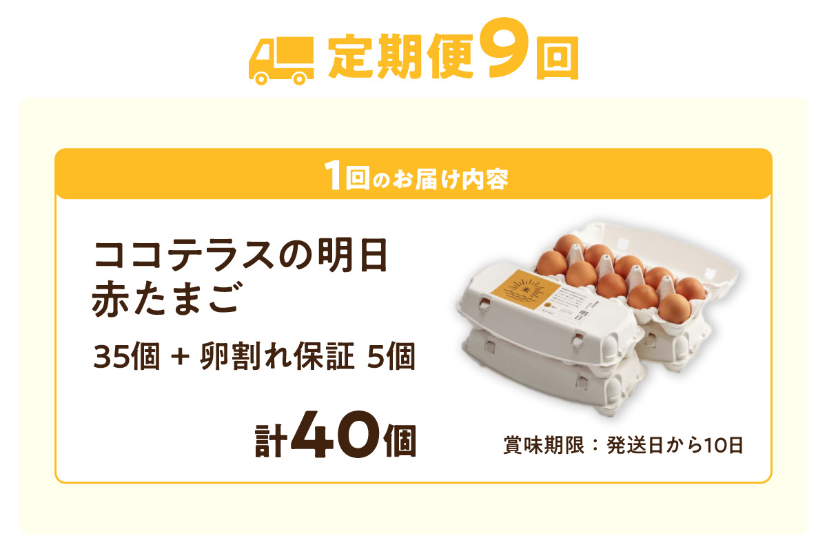 【9ヵ月定期便】ココテラスの明日（赤たまご）35個 + 5個保証（計40個）【JGAP認証】