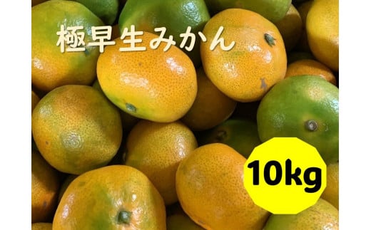 極早生みかん 10kg ご家庭用 日南1号 農園直送 先行予約 9月発送 愛媛 数量限定 愛媛県産 人気 柑橘 伊予市 | B227