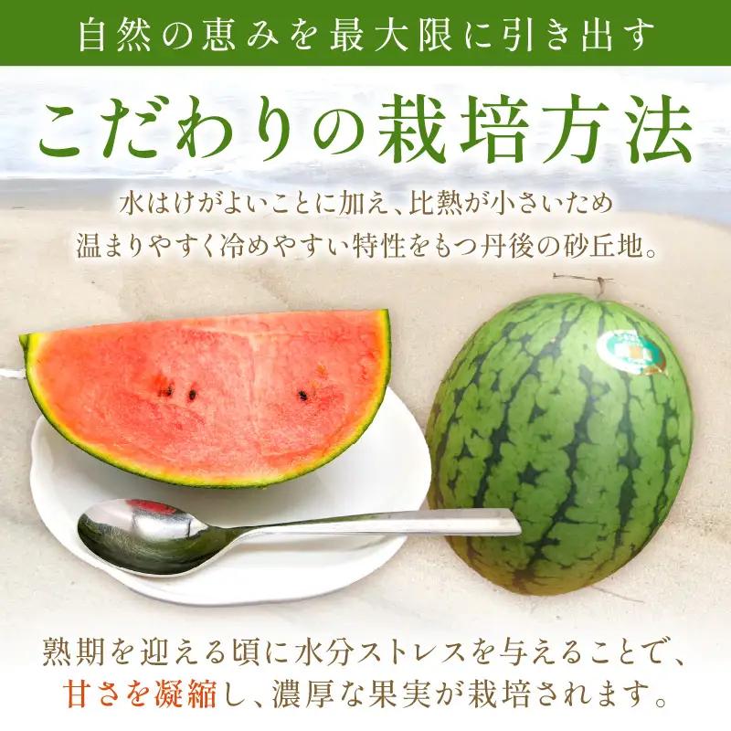 小玉スイカ 砂丘のたまご 1玉 26年6月～ スイカ