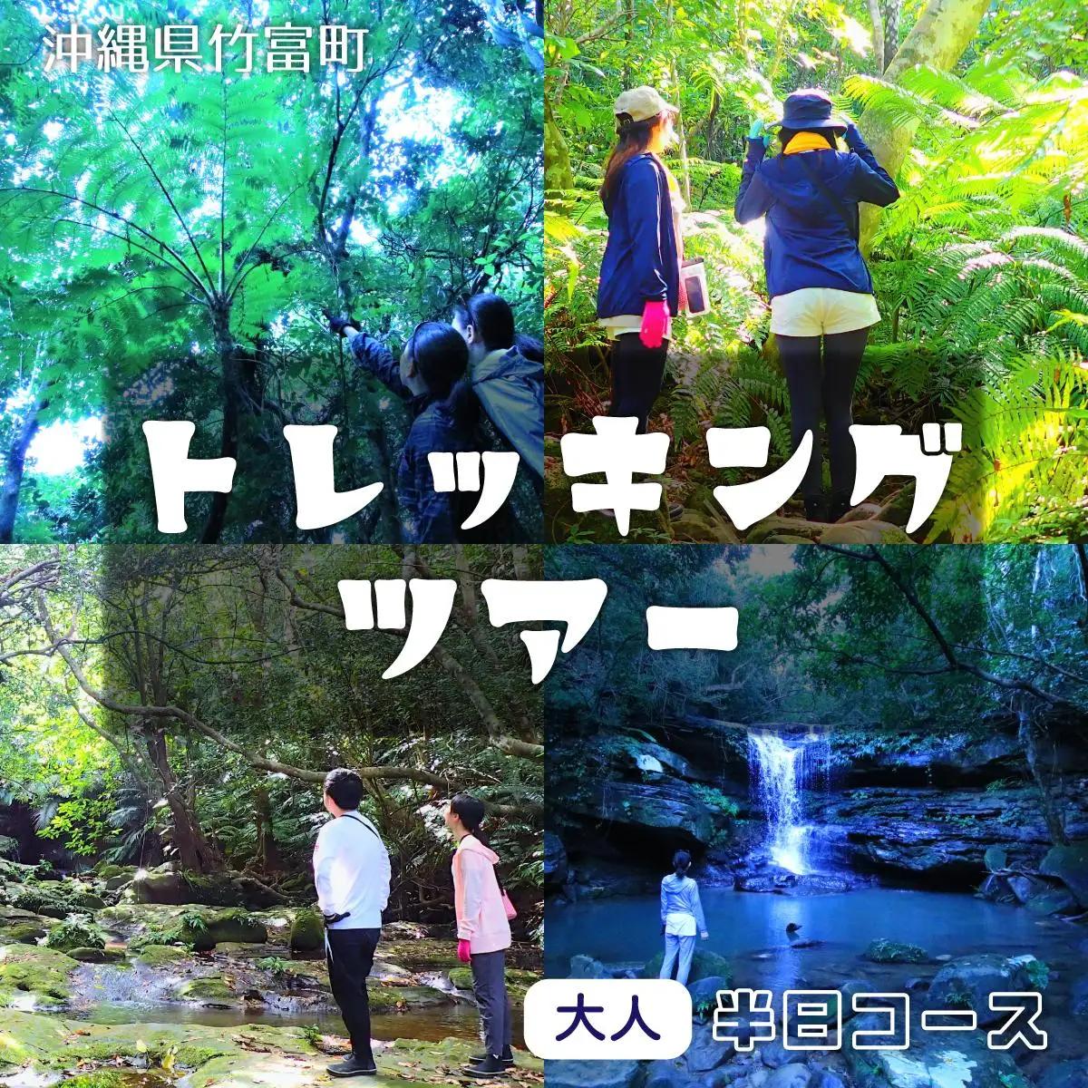 西表島 半日森林浴滝トレッキングツアー 大人1名分