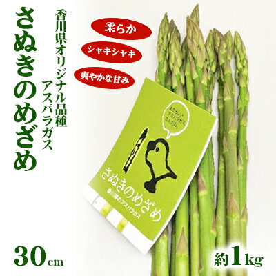 【ふるさと納税】アスパラガス【さぬきのめざめ】30cm セミロングサイズ 1kg 野菜 　お届け：2026年2月20日～6月10日
