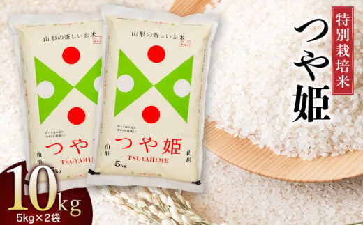 【令和6年産 新米】特別栽培米 つや姫10kg (5kg×2)　山形県庄内産 鶴岡米穀商業協同組合