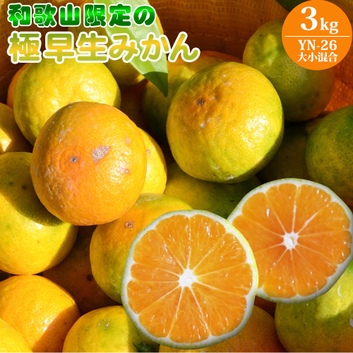 EA6104_和歌山県限定の極早生みかん 3kg (YN-26 大小混合)