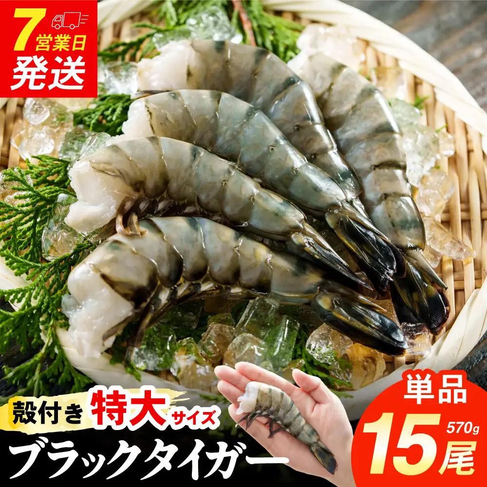 【ふるなびWEEK対象】特大 ブラックタイガー 無頭えび 570g前後15尾