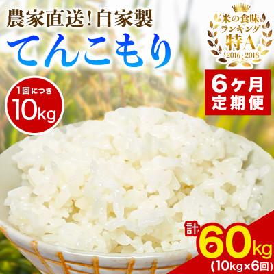ふるさと納税 伊勢原市 【発送月固定定期便】11月中旬から出荷予定　合計60kg 精米 てんこもり10kg全6回