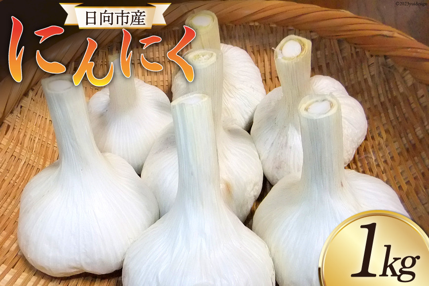 
                  にんにく 《2024年6月～11月発送予定》 日向市産 にんにく 1kg 農薬不使用 化学肥料不使用 [甲斐自然派農園 宮崎県 日向市 452060131] 国産 ニンニク
                