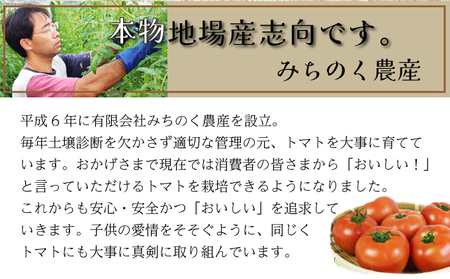 アイラブ七戸トマトジュース Ａ【２００ｍｌ×１２本】【トマトジュース トマト農家 ストレート びん 無添加 果汁 100% トマト りんか409 国産 青森県産 青森県 七戸町】【386968】