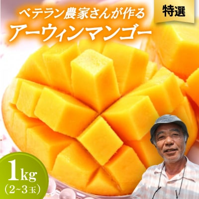 【2026年7月から順次発送・特選】ベテラン農家さんが作る アーウィンマンゴー1kg(2～3玉)【配送不可地域：離島】