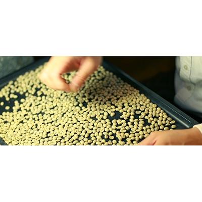 ふるさと納税 沼津市 【自分に合った焙煎度合を見つけよう!】ブレンド3種セット×各150g【豆】 |  | 01