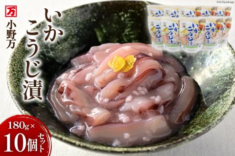 いかこうじ漬 180g 10個セット 【ご飯のお供に、酒の肴に】 [小野万 宮城県 気仙沼市 20564596] 魚 魚介類 いか イカ 冷蔵 酒の肴 おつまみ ご飯のお供 おかず 珍味 こうじ漬 麹漬け