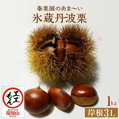 ふるさと納税 福知山市 秦栗園のあま〜い氷蔵丹波栗 岸根3L 1kg【熟成】生栗 大粒 11月下旬より順次発送