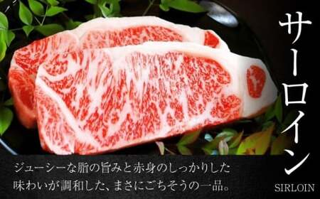 葉山石井牛 サーロイン200g×4 ／ 牛肉 [ASCD002]