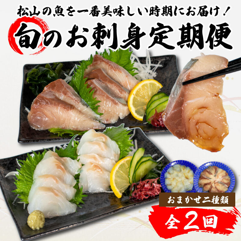 
【全2回】 旬のお刺身定期便 (2~3人前×2種類) 魚 切身 鮮魚 刺身セット 刺身2種盛り 刺身 お刺身 お刺し身 魚介 海の幸 小分け 個包装 冷凍 鯛 カワハギ スズキ イカ サワラ タコ ハマチ ヒラメ 愛媛県 松山市 刺身定期便 季節の魚 海鮮丼 しゃぶしゃぶ 冷凍刺身 たこの刺身 ホウボウ コロダイ イサキ ハマチ 美味しい刺身 松山の刺身 紋甲イカマゴチ舌ヒラメクロダイ チヌ
