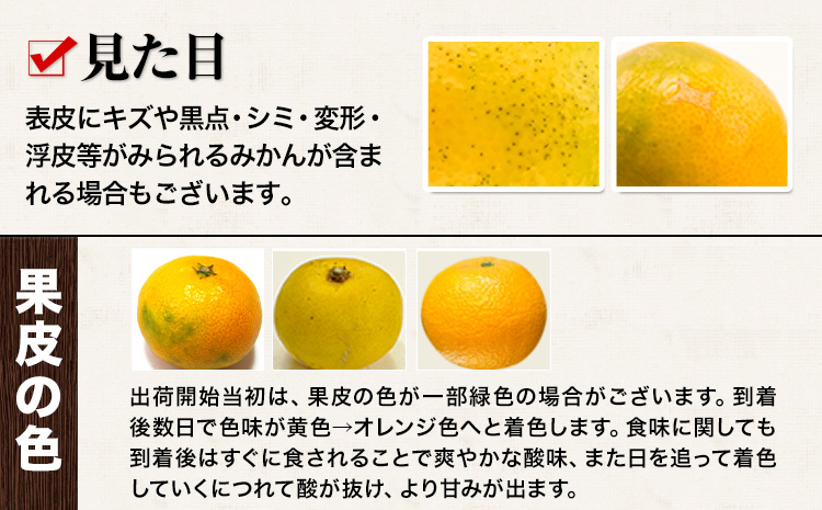 訳あり みかん くまもと小玉みかん 10kg (10kg×1箱)  フルーツ 柑橘 小玉 《9月中旬-10月下旬頃出荷》---fn_nkomikan_k9_24_8500_10kg--- ｜ みかん 