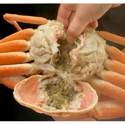 ふるさと納税 森町 【先行受付】【訳あり】浜茹でオオズワイガニ 3.0kg 詰め込みセット 北海道噴火湾産 |  | 03