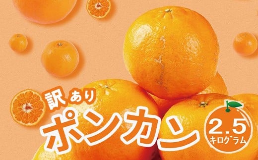 
【訳あり】人気の柑橘室戸産ポンカン２．５ｋｇ
