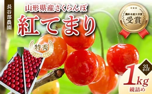 
            【希少数量限定】農林水産大臣賞受賞 長谷部農園 紅てまり 1kg 鏡詰め 特秀 3Lサイズ 桜桃 山形県産 さくらんぼ 《先行予約2026年度6月発送開始》 FSY-2257
          