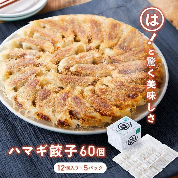 【ふるさと納税】は！と美味しいハマギ餃子　60個 (12個入り×5パック) | 餃子 ぎょうざ ギョーザ 小分け ボタンボウフウ 冷凍　冷凍餃子 食品 加工食品 竹島 三島村　鹿児島県 おすすめ 送料無料