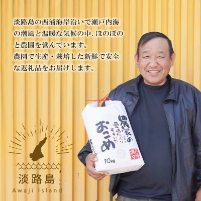 ふるさと納税 淡路市 名手農園の淡路島産ヒノヒカリ 10kg　an03043 |  | 01