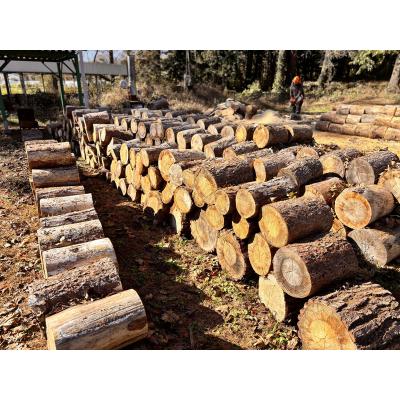 ふるさと納税 伊那市 信州産　松の薪　約20キロ　薪長35センチ |  | 01