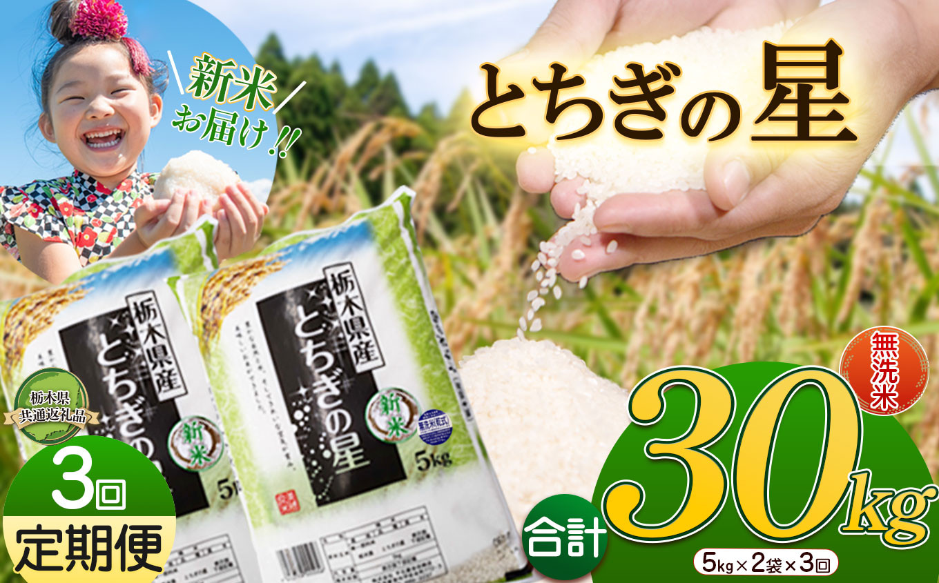 
            【3か月定期便】特A受賞！令和6年 新米 献上米にも選ばれたとちぎの星 無洗米 10kg | ふるさと 納税 栃木県産 とちぎの星 お米  精米 ミネラル 献上米 白米 無洗米 玄米 大粒 共通返礼品 送料無料 那珂川町 栃木県
          