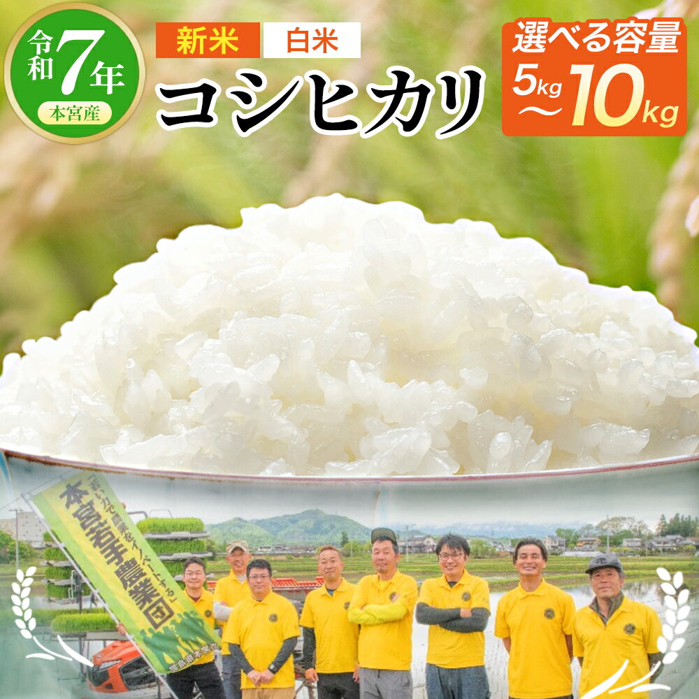 【ふるさと納税】【令和7年産】【内容量が選べる！】福島県産コシヒカリ≪白米≫　5kg,10kgから選択 お米 おこめ コメ ご飯 ごはん こしひかり 精米 令和7年産 本宮市 福島県産 送料無料 本宮若手農業団　【07214-0392-0430】