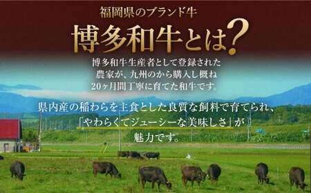 【数量限定 訳あり】【A4・A5】 博多和牛 切り落とし 約300g×3パック 合計約900g 牛肉 和牛 肉 お肉 国産 冷凍 岡垣町